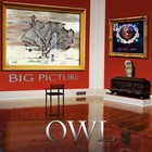 Owl - Big Picture