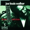 Joe Louis Walker - Blues Survivor