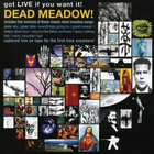 Dead Meadow - Got Live If You Want It!