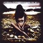 Scars Of Life - What We Reflect