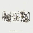 SIA - Colour the Small One (US Edition)