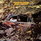 Jimmy Buffett - Down To Earth (Vinyl)