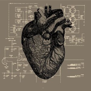Your Heart, It Carries The Sound
