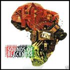 Sounds of Blackness - The Evolution Of Gospel