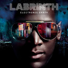Labrinth - Electronic Earth (Deluxe Edition)