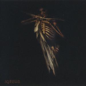 Zyklus