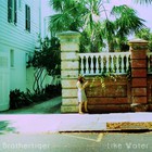 Brothertiger - Like Water (CDS)