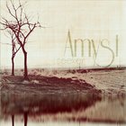 Amyst - Seeker