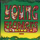 Young Flowers - Live (Vinyl)