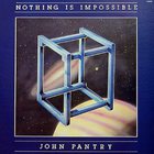 John Pantry - Nothing Is Impossible (Vinyl)