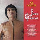 Juan Gabriel - Exitos (Vinyl)