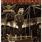 Jon Langford - Skull Orchard Revisited