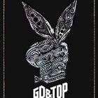 GD & TOP