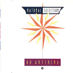 Do Anything (CDS)