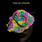 Plastic Tree - Ammonite
