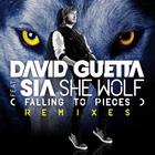 David Guetta - She Wolf (Falling To Pieces) (Feat. Sia) (CDS)