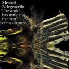 Meshell Ndegeocello - The World Has Made Me The Man Of My Dreams(1)