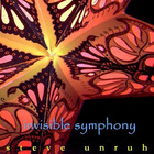 Steve Unruh - Invisible Symphony