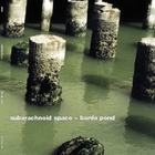 SubArachnoid Space - Tigris / Euphrates (With Bardo Pond)