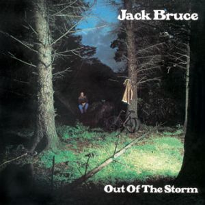 Out Of The Storm (Vinyl)