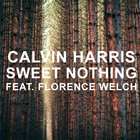 Calvin Harris - Sweet Nothing (Feat. Florence Welch) (CDS)