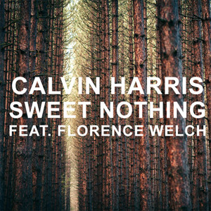 Sweet Nothing (Feat. Florence Welch) (CDS)