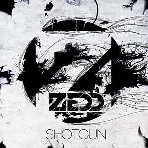 Shotgun (CDS)