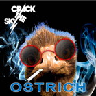 Crack the Sky - Ostrich
