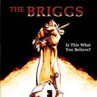 The Briggs - Is This What You Believe?