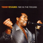 Terry Evans - Fire In The Feeling