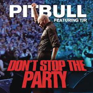 Don't Stop The Party (Feat. TJR) (CDS)