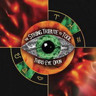 The Section Quartet - Third Eye Open -  The String Tribute To Tool (Vol. 1)