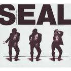 Seal - The Beginning (MCD)