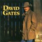 David Gates - Love Is Always Seventeen