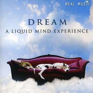 Dream: A Liquid Mind Experience