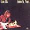 Tinsley Ellis - Fanning The Flames