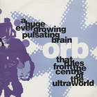 Orb - A Huge Ever Growing Pulsating Brain That Rules From The Centre Of The Ultraworld (CDS) (Remixes)