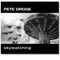Pete Droge - Skywatching