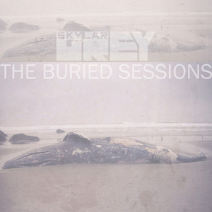 The Buried Sessions of Skylar Grey (cds)