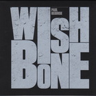 Paul Reddick - Wishbone