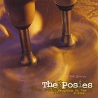 Posies - Frosting On The Beater