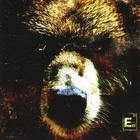 Element Eighty - The Bear