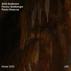 Arild Andersen - Molde 2005 (With Ferenc Snetberger & Paolo Vinaccia)