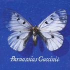 Francesco Guccini - Parnassius Guccinii