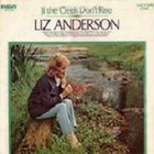If The Creek Don't Rise (Vinyl)