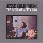 Jesse Colin Young - Soul Of A City Boy (Reissued 1995) (Vinyl)