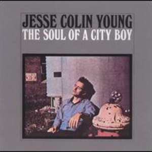 Soul Of A City Boy (Reissued 1995) (Vinyl)