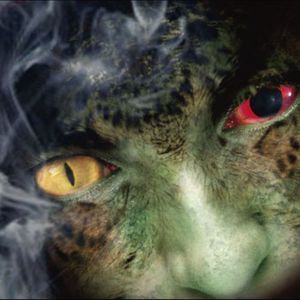 Blasted Animals (CDS)