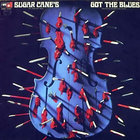 Don "Sugarcane" Harris - Sugar Cane's Got The Blues (Vinyl)