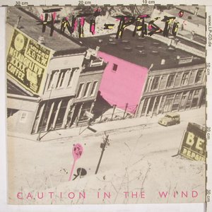 Caution In The Wind